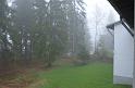 Schwarzwald 2013 - 035